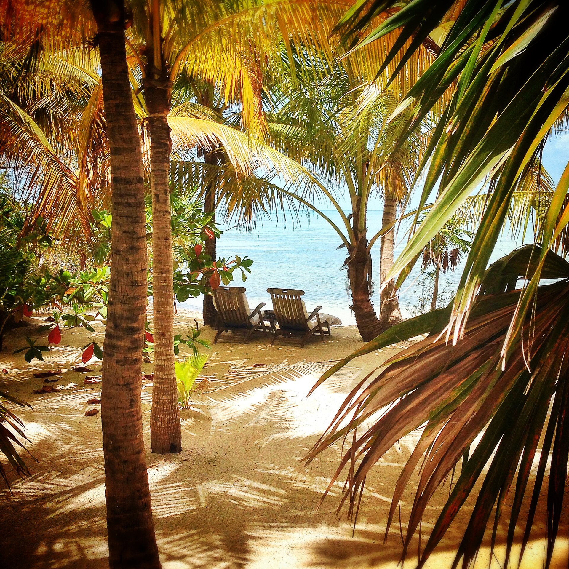 Casa Palma Beach Club